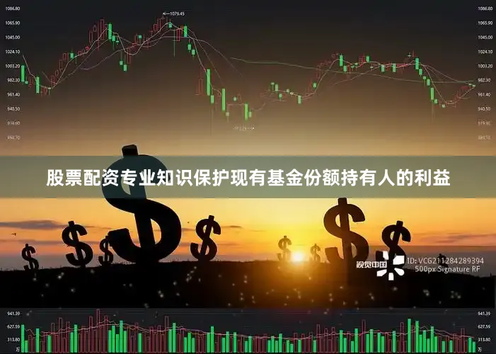 股票配资专业知识保护现有基金份额持有人的利益