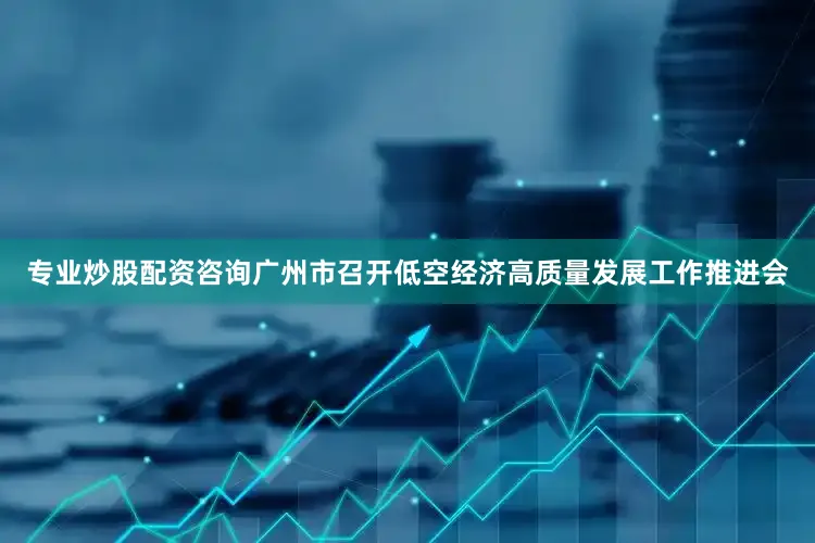 专业炒股配资咨询广州市召开低空经济高质量发展工作推进会
