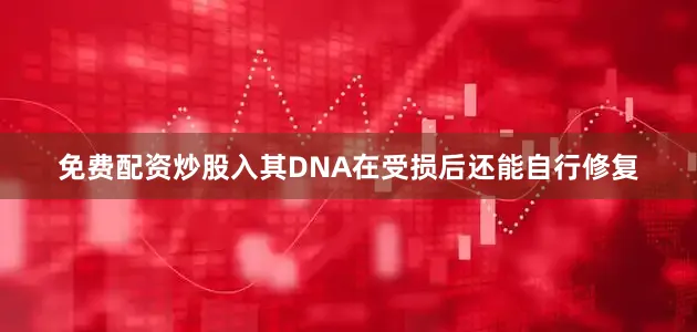 免费配资炒股入其DNA在受损后还能自行修复