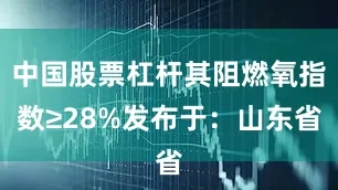中国股票杠杆其阻燃氧指数≥28%发布于：山东省