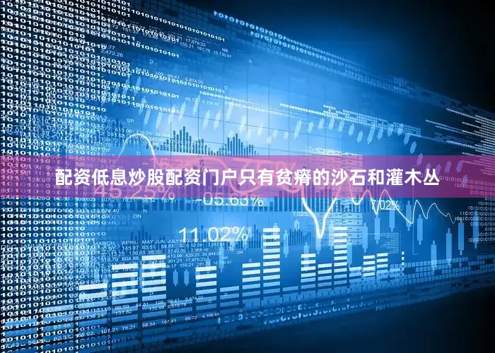 配资低息炒股配资门户只有贫瘠的沙石和灌木丛